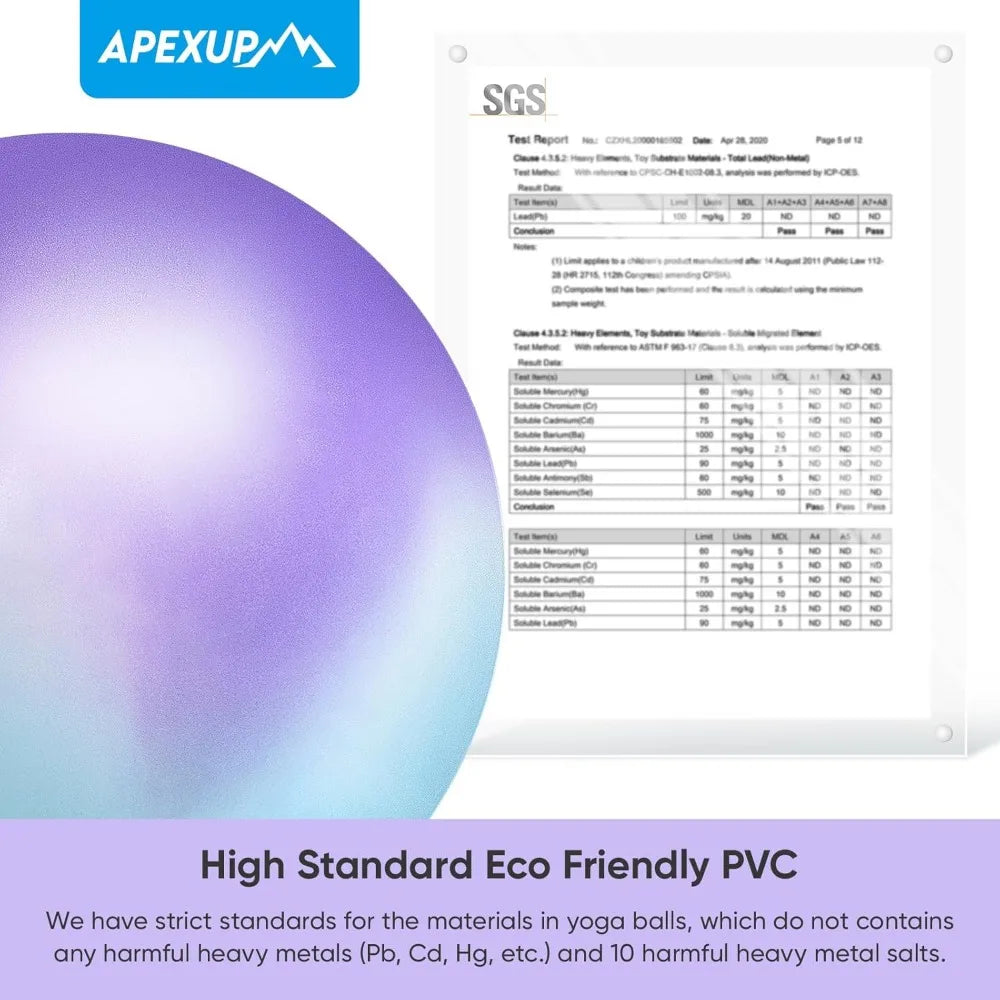 SHXI Yoga And Pilates Ball Anti Slip Heavy Duty Gym Ball - Wellness Outdoor Gear