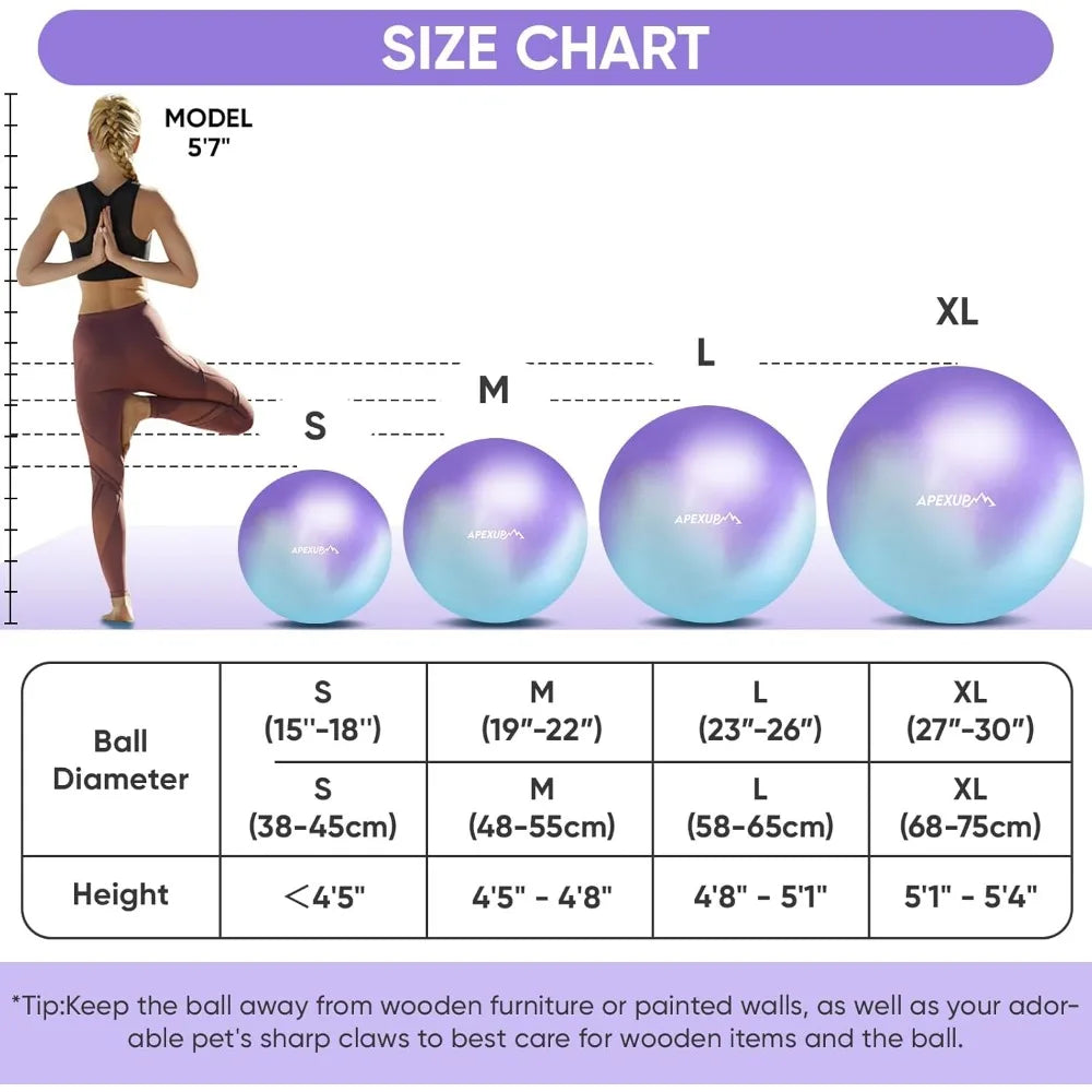 SHXI Yoga And Pilates Ball Anti Slip Heavy Duty Gym Ball - Wellness Outdoor Gear