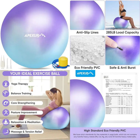 SHXI Yoga And Pilates Ball Anti Slip Heavy Duty Gym Ball - Wellness Outdoor Gear